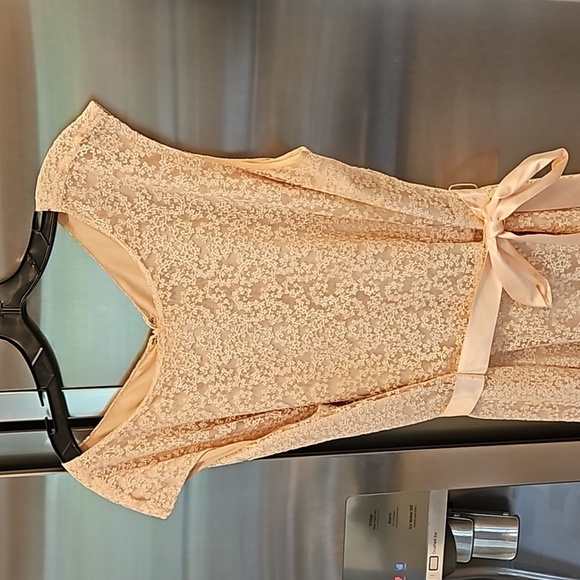 💕TAHARI by ASL💕 Glitter Lace Trim Metallic Ribbon Belted Dress Light Pink 18W - Picture 9 of 14